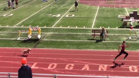 Dog ‘wins’ high school relay race after interrupting track meet, outrunning athletes