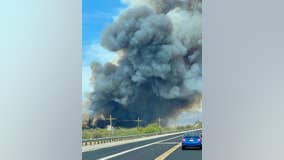 Arizona State Forestry officials: Wildfire that burned 1,200 acres of land in Pinal County is human-caused