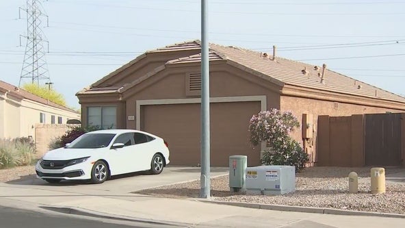 Police: Man, child, two dogs found dead in Mesa home