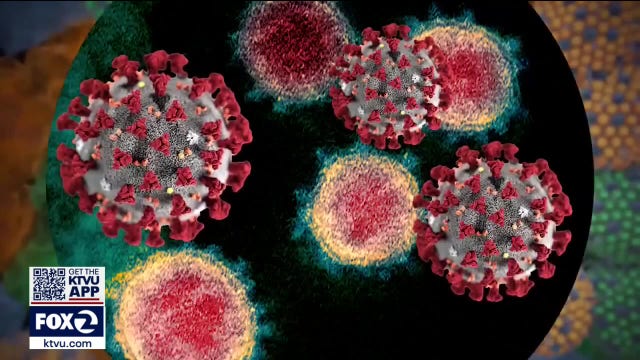 Coronavirus variant from India discovered in the Bay Area