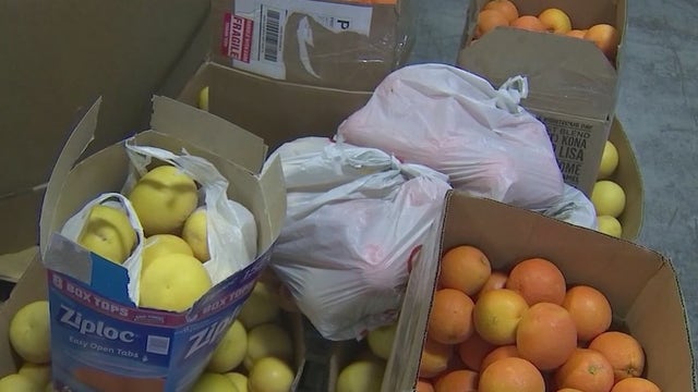 St. Mary's Food Bank puts out last call for citrus fruit donations