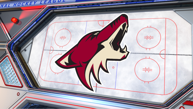 Coyotes head into 2021-22 season with overhauled roster - NBC Sports