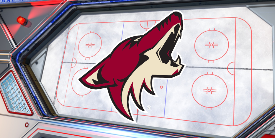 Report: Coyotes eye Mesa's Fiesta Mall site in arena search