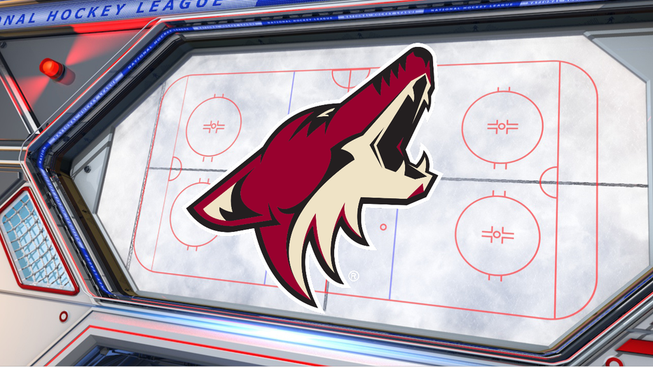 arizona coyotes hockey