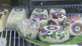 Made in Arizona: 'Virgin Cheese' offers vegan-friendly, dairy-free cheese