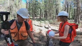 NAU students determined to return Arizona forest to its former glory, one tree at a time