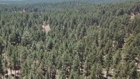 Arizona public land agencies begin implementing fire restrictions