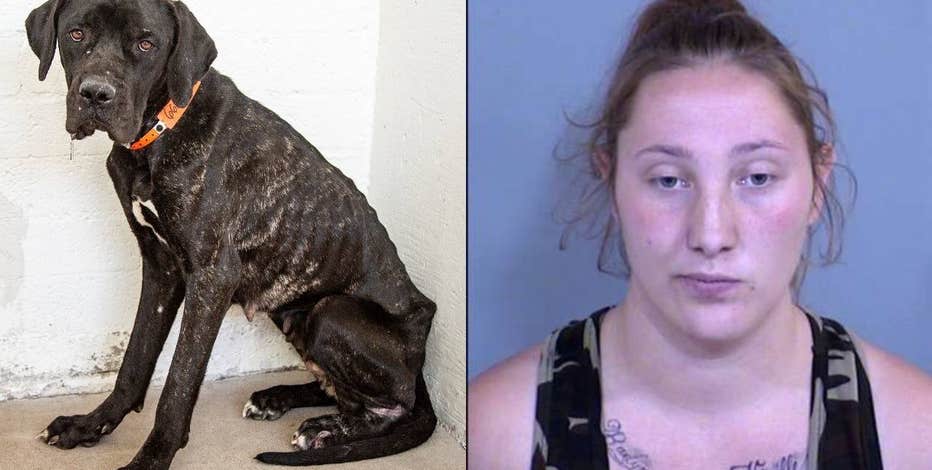 AHS: Emaciated Great Dane rescued from neglect; Phoenix woman arrested