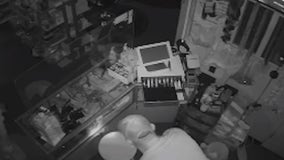 Business owner's 2 hair salons broken into, police searching for suspect