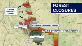 National forests in Arizona reopen after wildfire closures