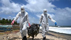 Chemical container ship which sank off Sri Lanka coast sows fears of environmental disaster