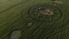 Oreo offers free cookies to aliens