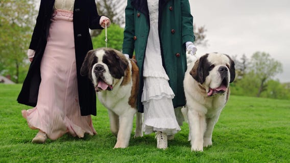 No audience, new venue, but Westminster dog show barks on