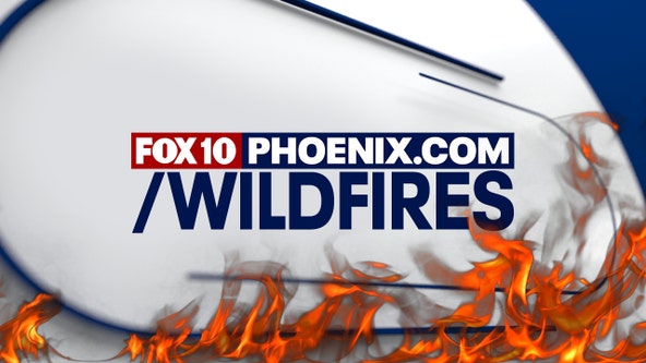 Arizona wildfires 2024: What to know about the fires burning in the state