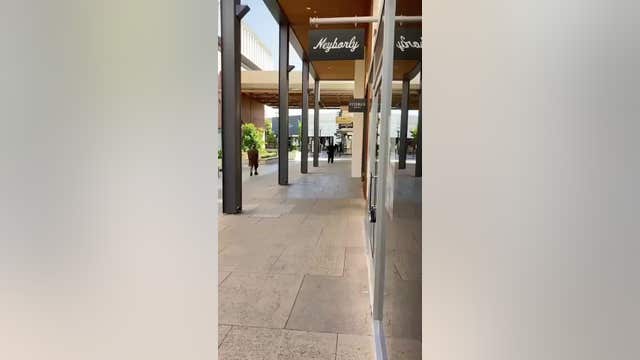 Witness video shows group who stole over $100,000 in high-end Louis Vuitton handbags