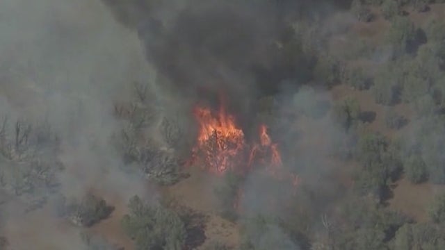 Officials: Prevent wildfires by not lighting off fireworks at home