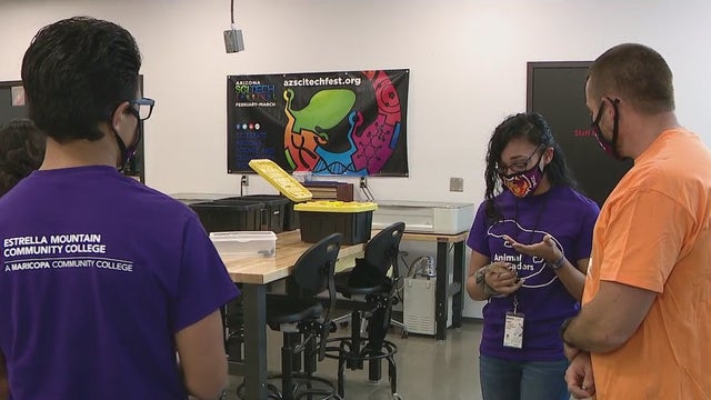 Kids College: Estrella Mountain Community College offering special summer classes for kids