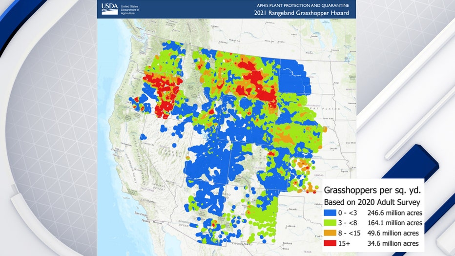 USDA 2021 rangeland grasshopper hazard map