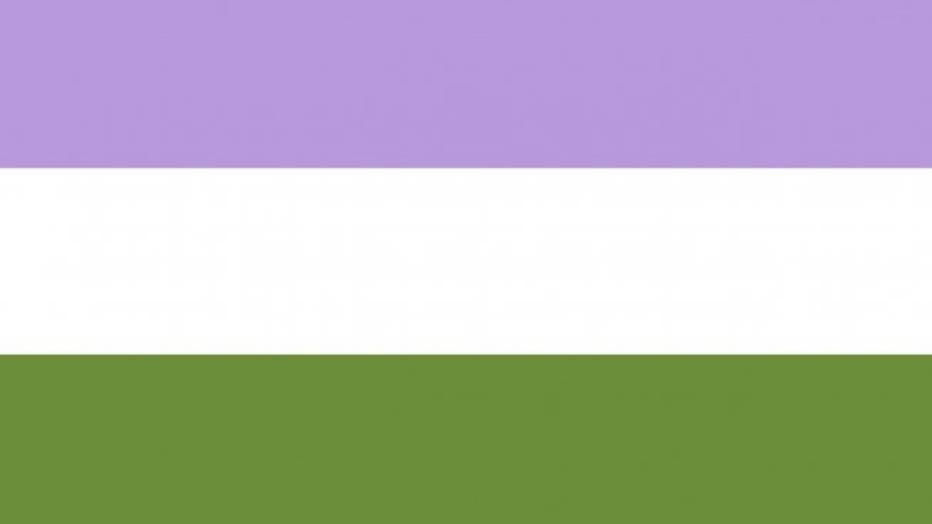genderqueer-flag.jpeg
