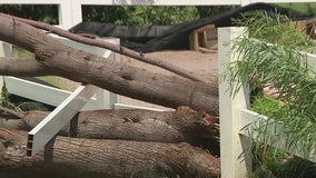 Monsoon weather wreaks havoc in Queen Creek neighborhoods, damages animal rescue