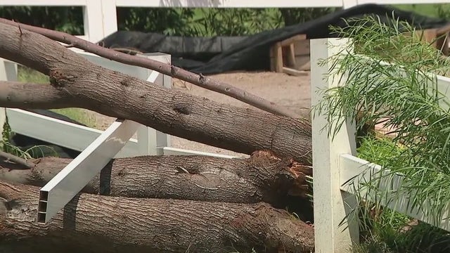 Monsoon weather wreaks havoc in Queen Creek neighborhoods, damages animal rescue