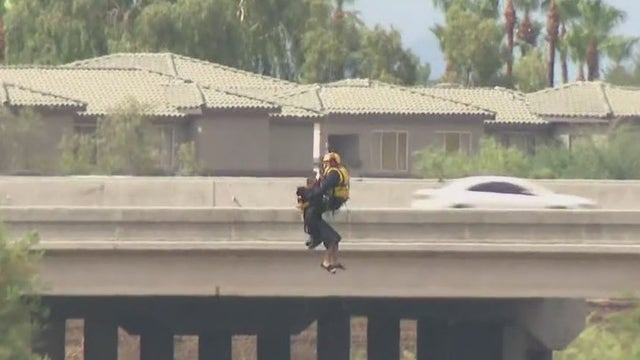 Avondale rescue crews work to help man out of tree on Agua Fria River