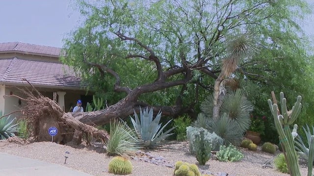 Cleanup underway after parts of Arizona pounded by 'ping pong ball' sized hail, thunderstorms