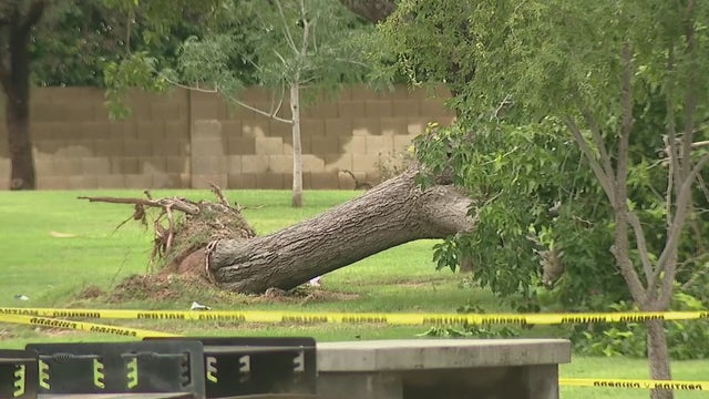 APS, park crews work to clean up monsoon mess in Scottsdale