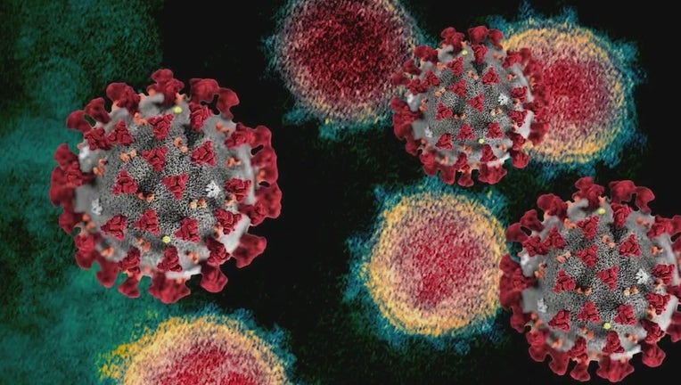 coronavirus