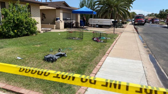 Police: At least 13 dogs dead following house fire in Chandler