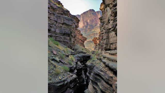 Oregon man dies after falling 50 feet while hiking in Grand Canyon