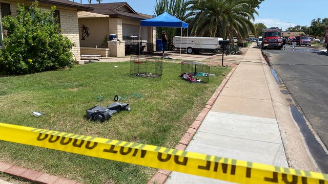 Police: At least 13 dogs dead following house fire in Chandler