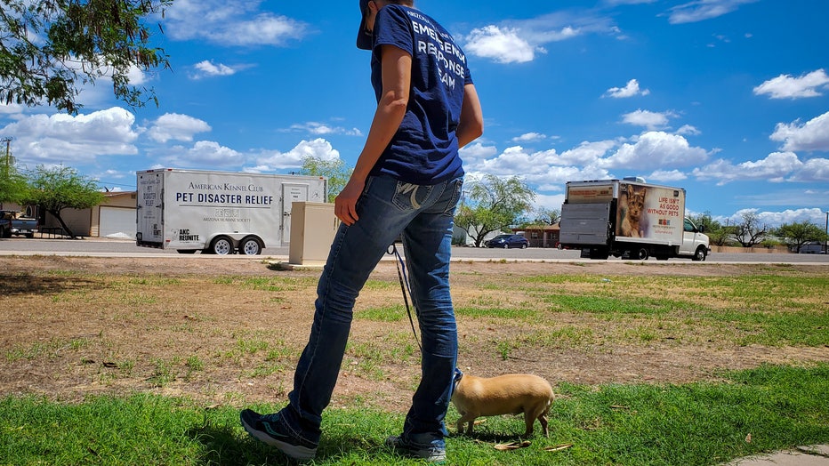 Arizona Humane Society in Gila Bend responding to severe flood conditions. Photo courtesy of Michelle Parks with AHS
