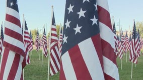 A sea of flags: More than 3,000 flags placed on Tempe Beach Park to honor 9/11 victims