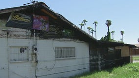 Mesa's 'Bear Mountain' fundraising to rebuild beloved sporting goods store