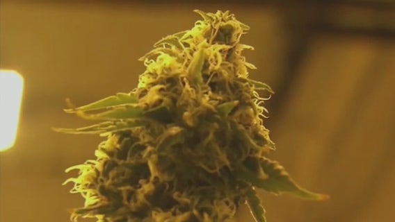 Check the stash: Pot product being recalled in Arizona