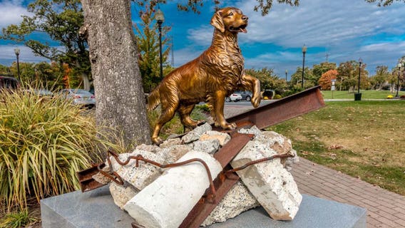 Dogs of 9/11: Heroic canines combed debris, offered comfort