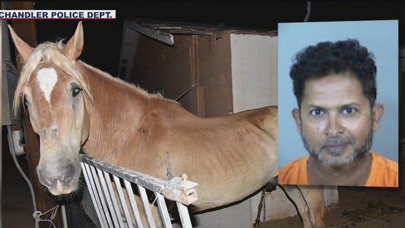 Chandler Police: Man arrested, accused of animal cruelty after the rescue of 3 neglected horses