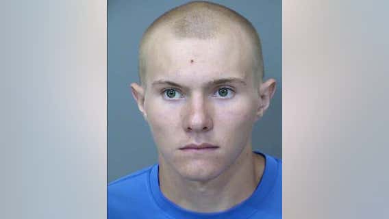 MCSO: Man and teenager arrested, accused of throwing rocks at horses