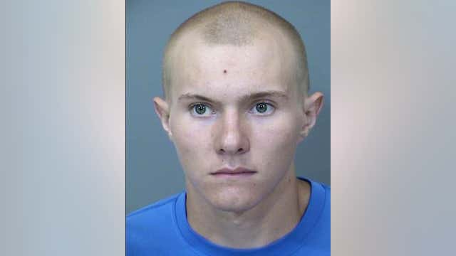 MCSO: Man and teenager arrested, accused of throwing rocks at horses