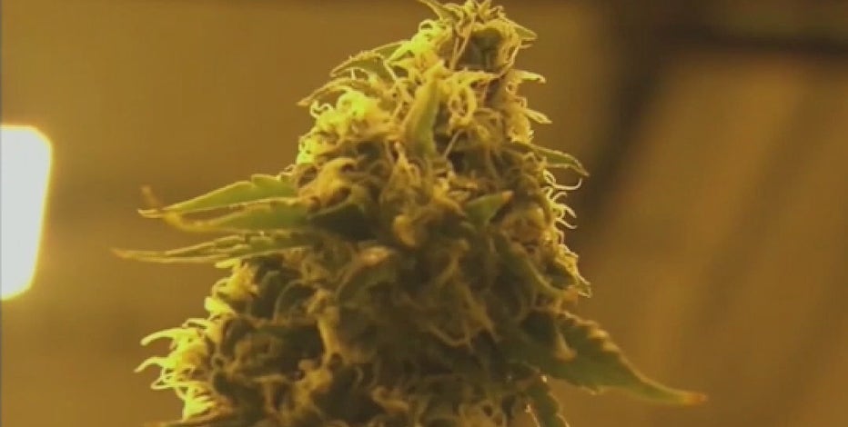 Check the stash: Pot product being recalled in Arizona