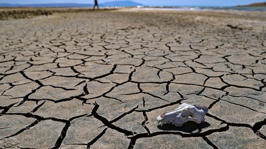 Dry lakebed