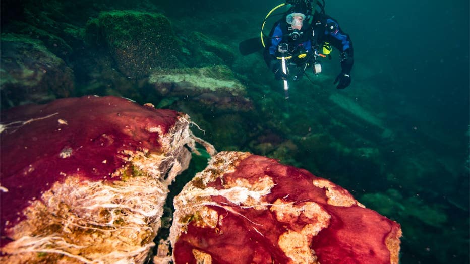 f2ff0353-wjbk_lake-huron-sinkhole-2_090121.jpg