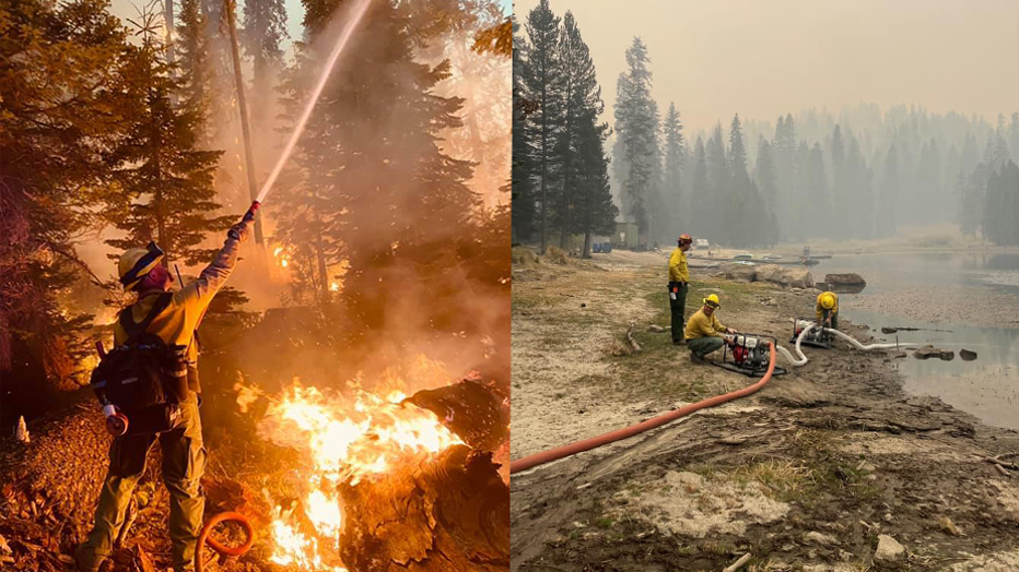 Avondale Fire crews battling the KNP Complex Fire in Central California. Photos courtesy of Avondale Fire And Medical