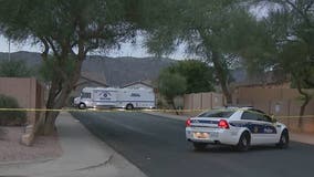 Homicide investigation underway after man found shot dead in south Phoenix