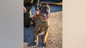 Rest in peace: Retired PCSO K9 Troy passes away