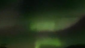 Northern lights illuminate sky near Denali National Park