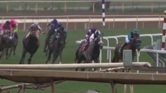 Filly dies from training injury at Santa Anita’s fall meet
