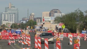 South Phoenix light rail construction hurting exotic plant business, bird rescue