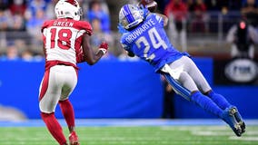 Cardinals lose chance to clinch, fall 30-12 to Lions